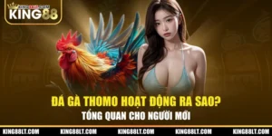 Đá Gà Thomo Hoạt Động Ra Sao? Tổng Quan Cho Người Mới 