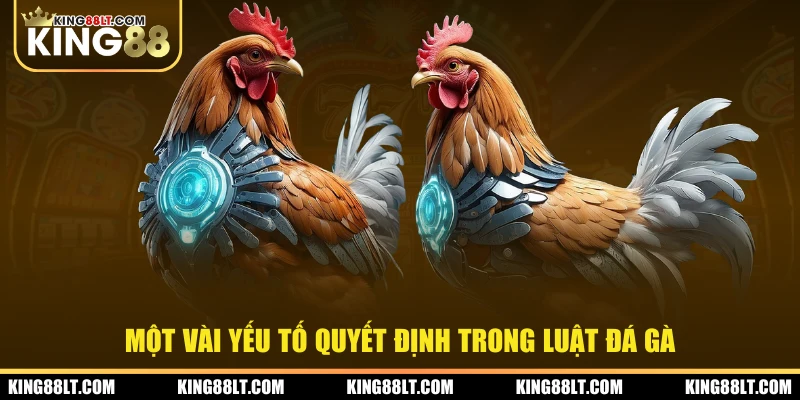 Một vài yếu tố quyết định trong luật đá gà